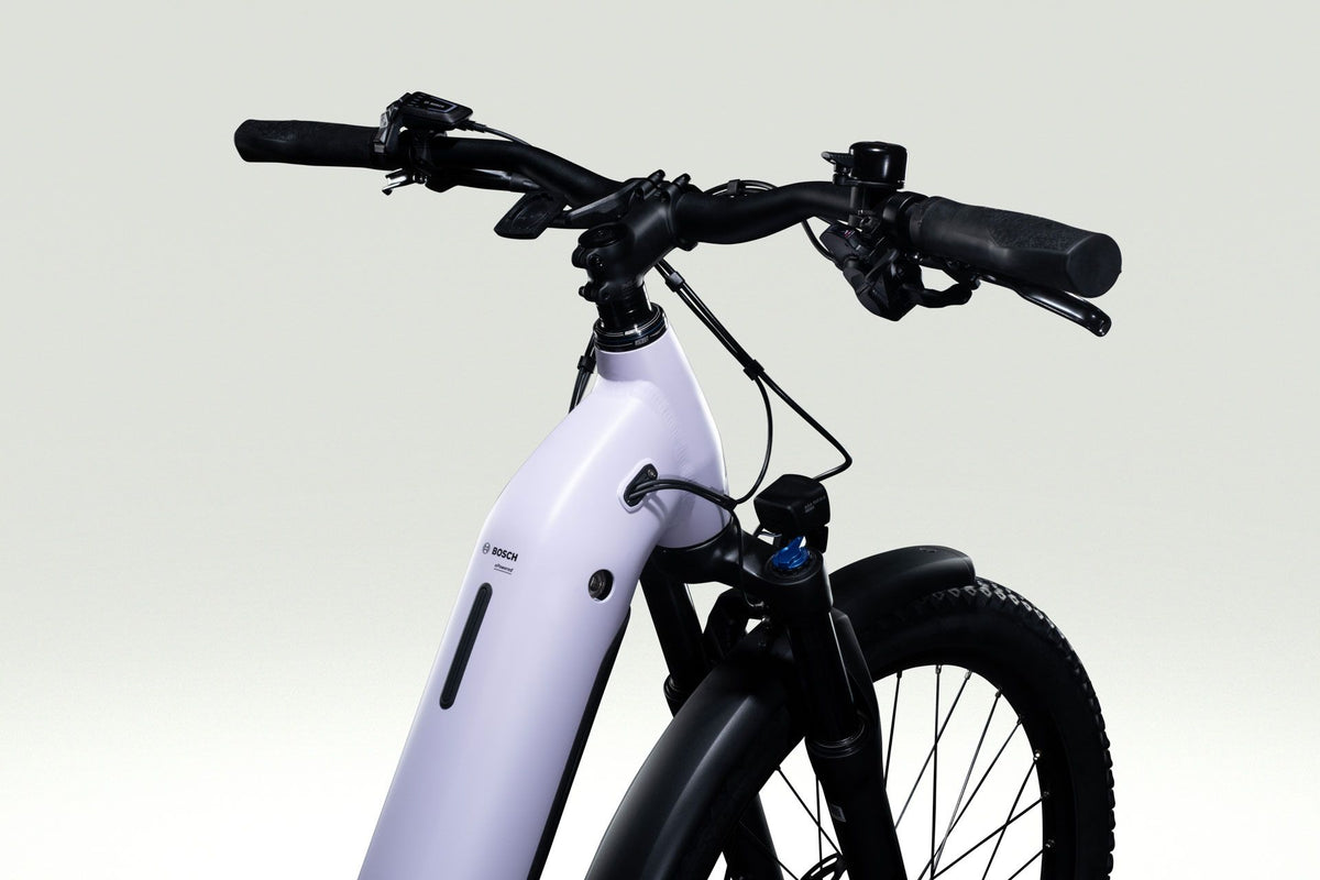 Lapierre E-EXPLORER 6.5 LOW - gentle lavender - glossy - detail 1