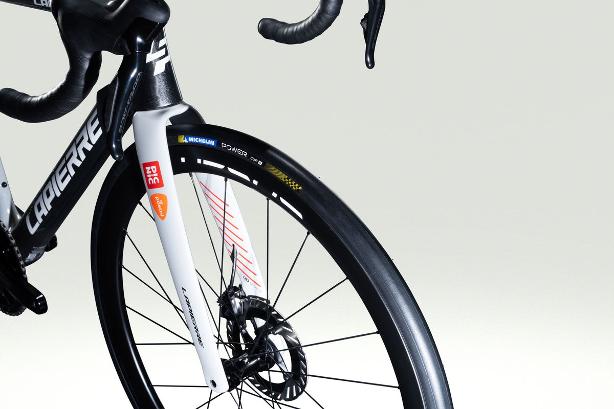 Lapierre XELIUS DRS PICNIC POSTNL - detail 13
