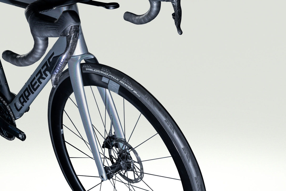 Lapierre XELIUS DRS 8.0 AXS - chrome glossy - detail 6