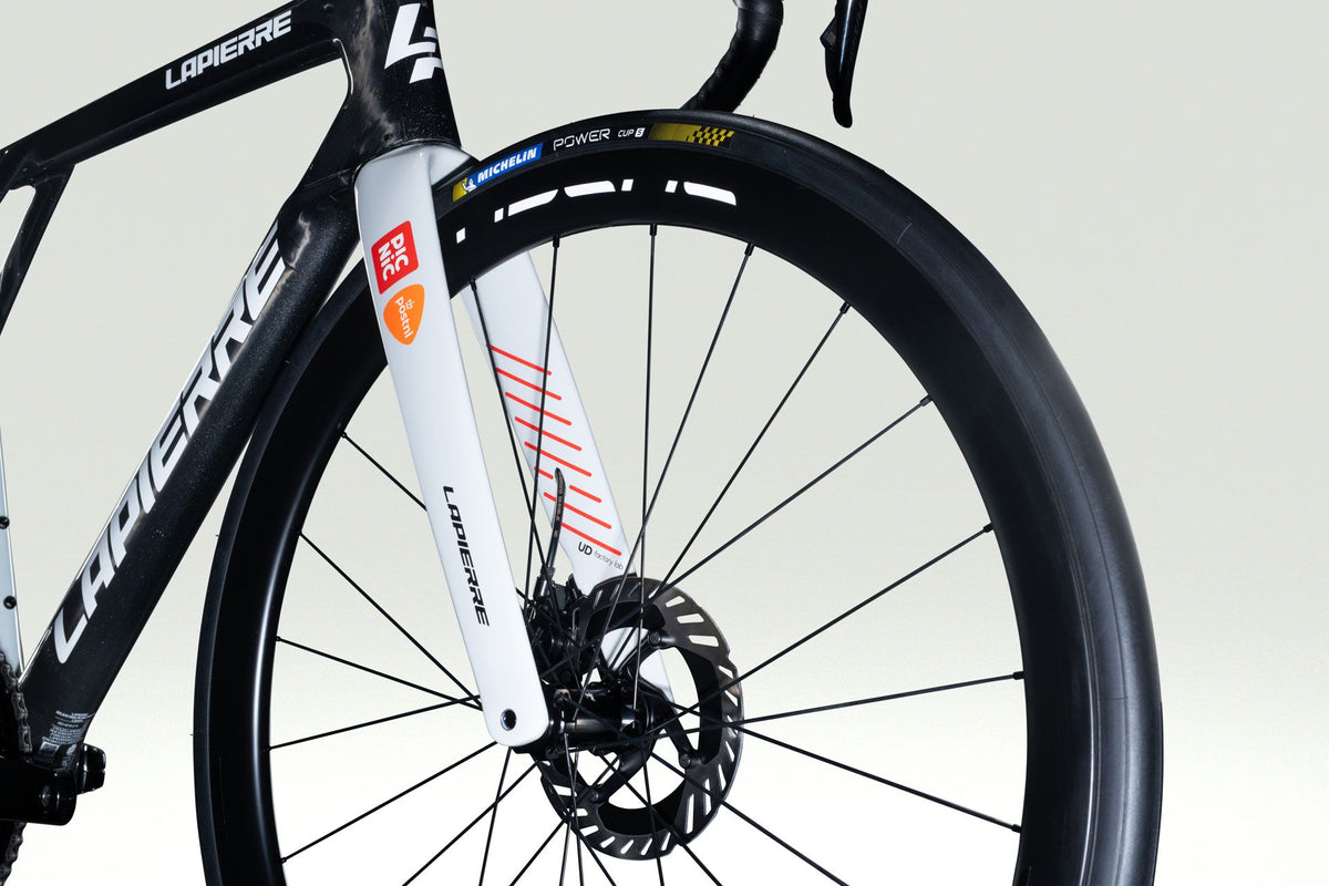 Lapierre XELIUS DRS PICNIC POSTNL - detail 18