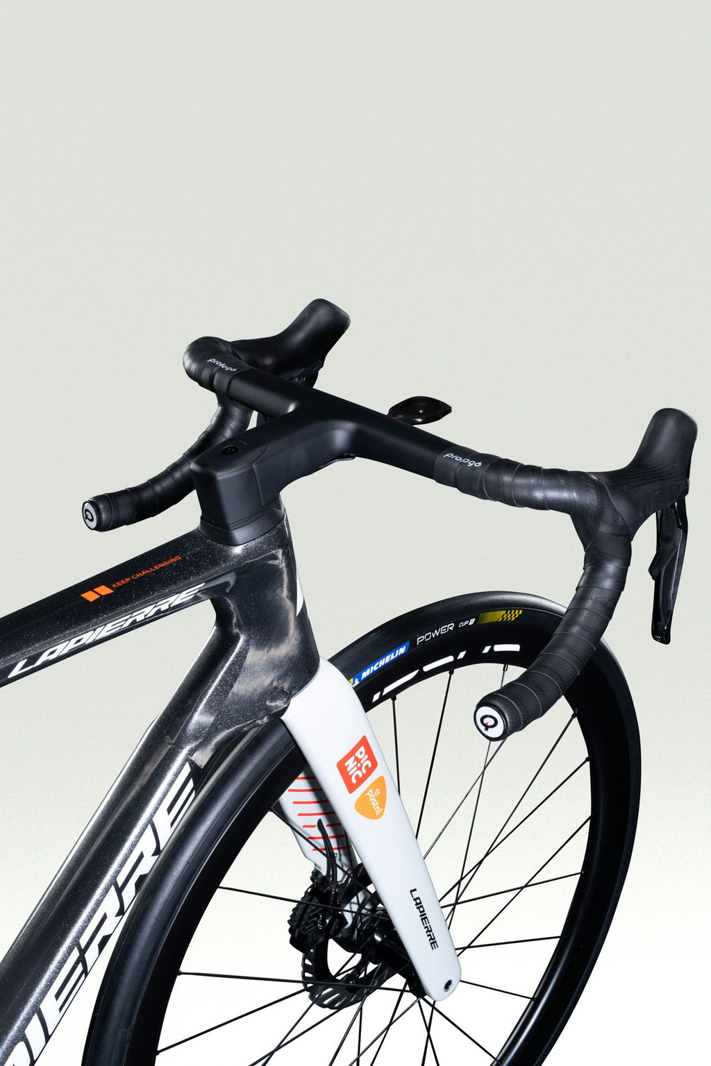 Lapierre XELIUS DRS PICNIC POSTNL - detail 2