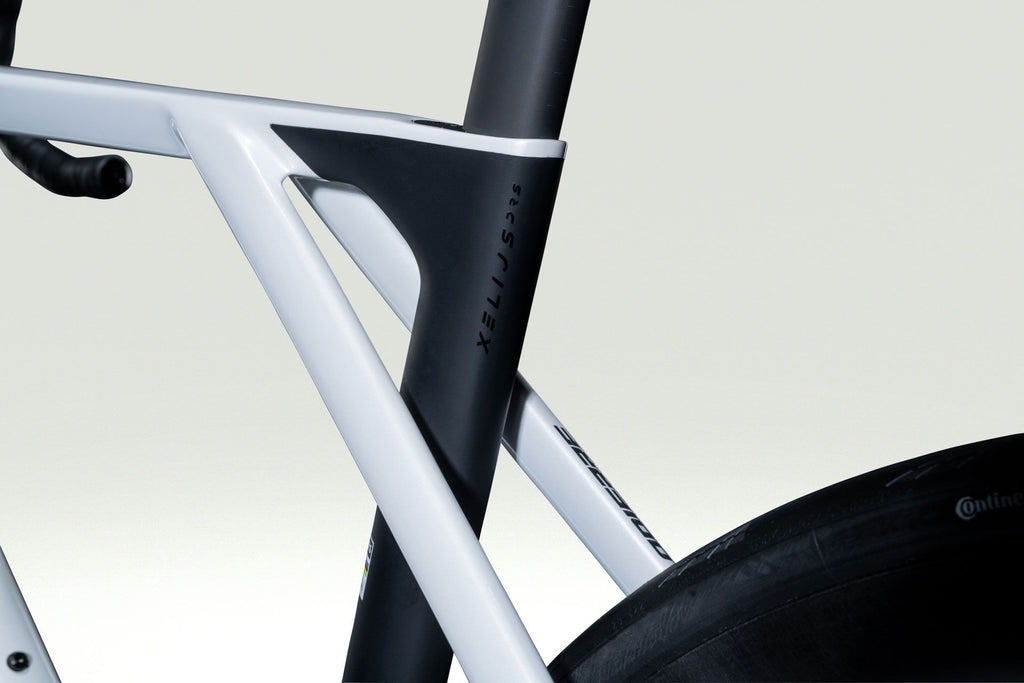 Lapierre XELIUS DRS 10.0 - paris stone beige - glossy - detail 10