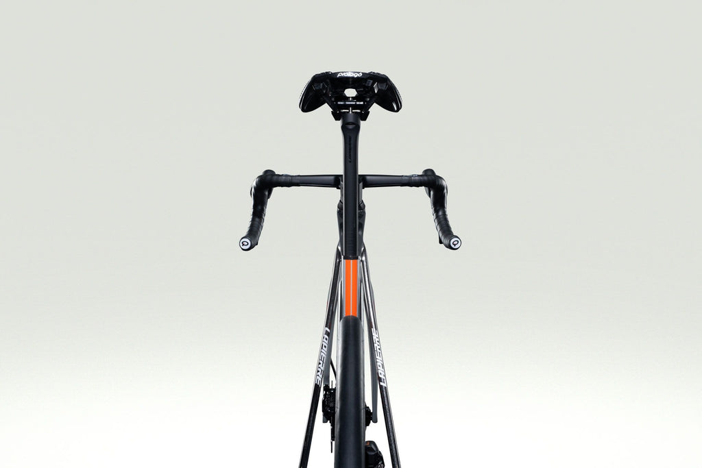Lapierre XELIUS DRS PICNIC POSTNL - detail 20