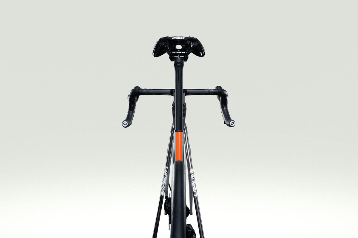Lapierre XELIUS DRS PICNIC POSTNL - detail 20