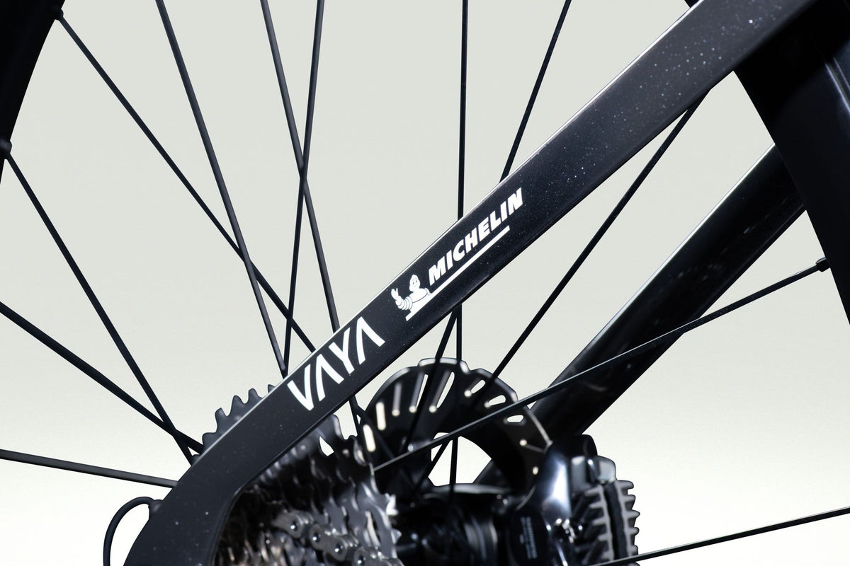 Lapierre XELIUS DRS PICNIC POSTNL - detail 23