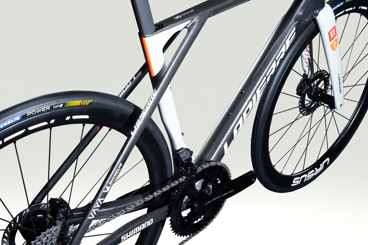 Lapierre XELIUS DRS PICNIC POSTNL - detail 4