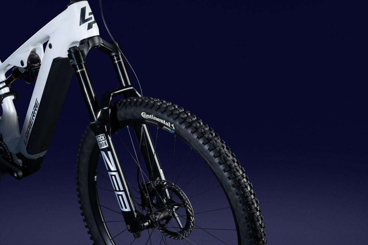 Lapierre OVERVOLT AM CF 10.8 - paris stone beige - satin - detail 9