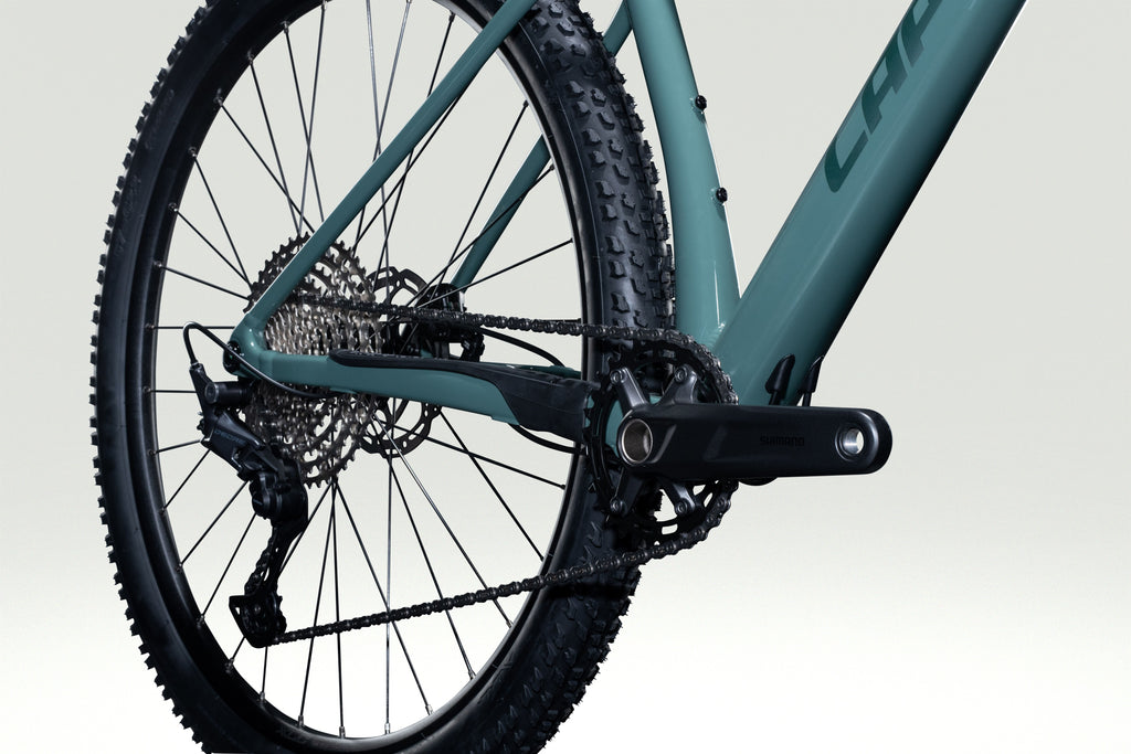 Lapierre PRORACE 3.9 - sage leaf green - glossy - detail 3